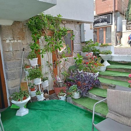 Farlalievi Guest House Sozopol Exterior foto